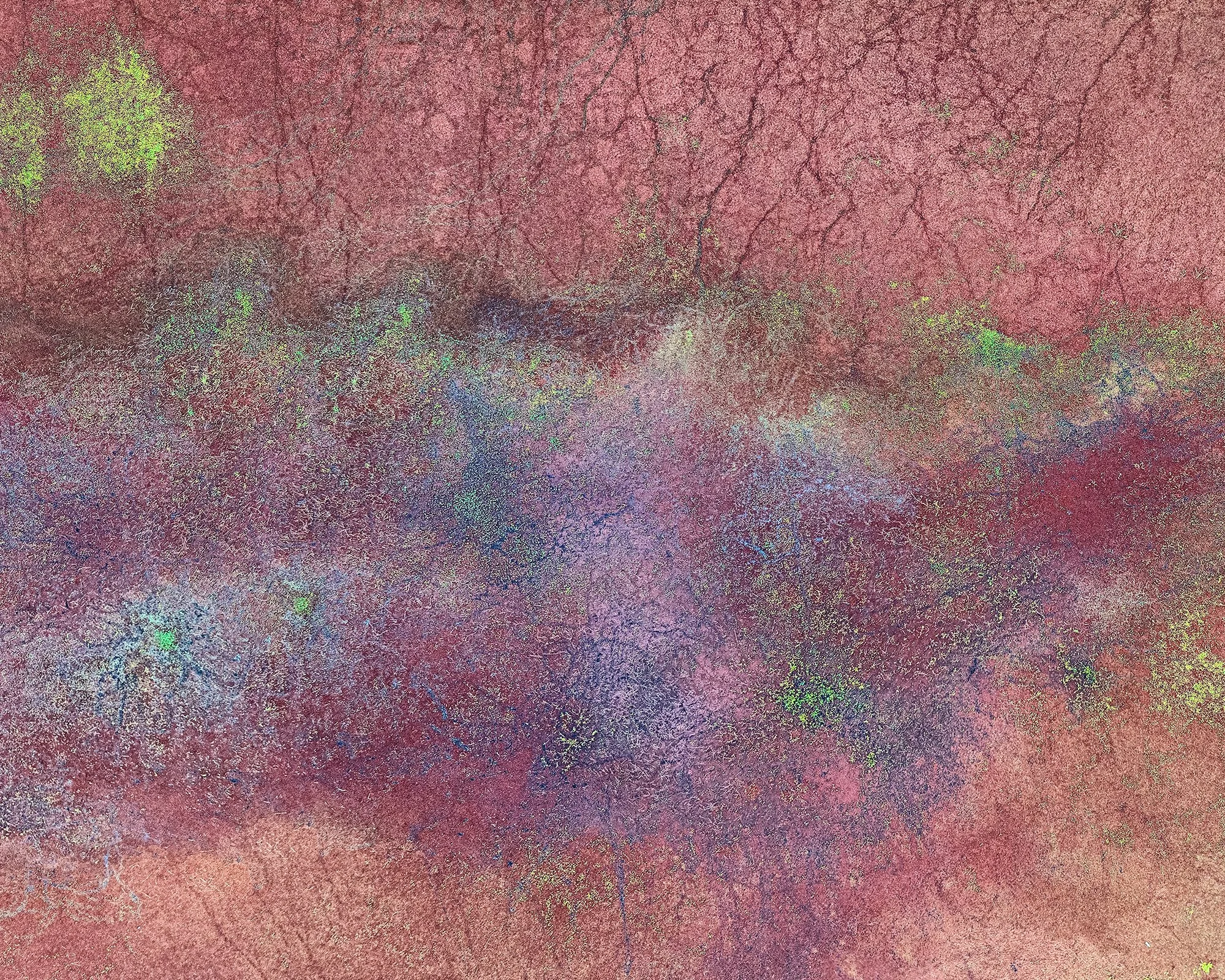 Angochagua Lagoon I, 100' Elevation (2022)